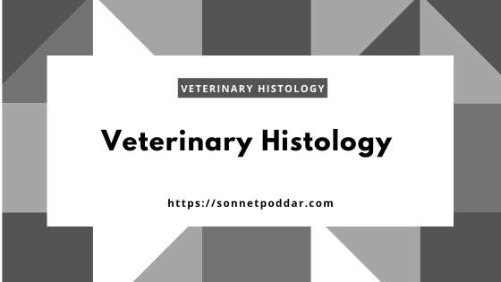 Veterinary histology course