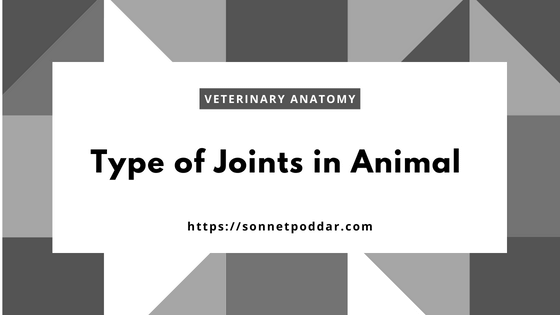 Type of joints in animals