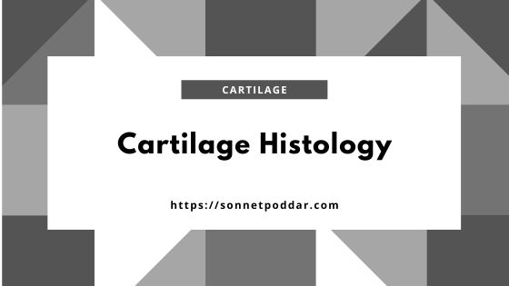 Cartilage Histology – Hyaline Elastic and Fibrocartilage