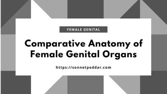 Comparative Anatomy of Female Genital Organs from Different Animals