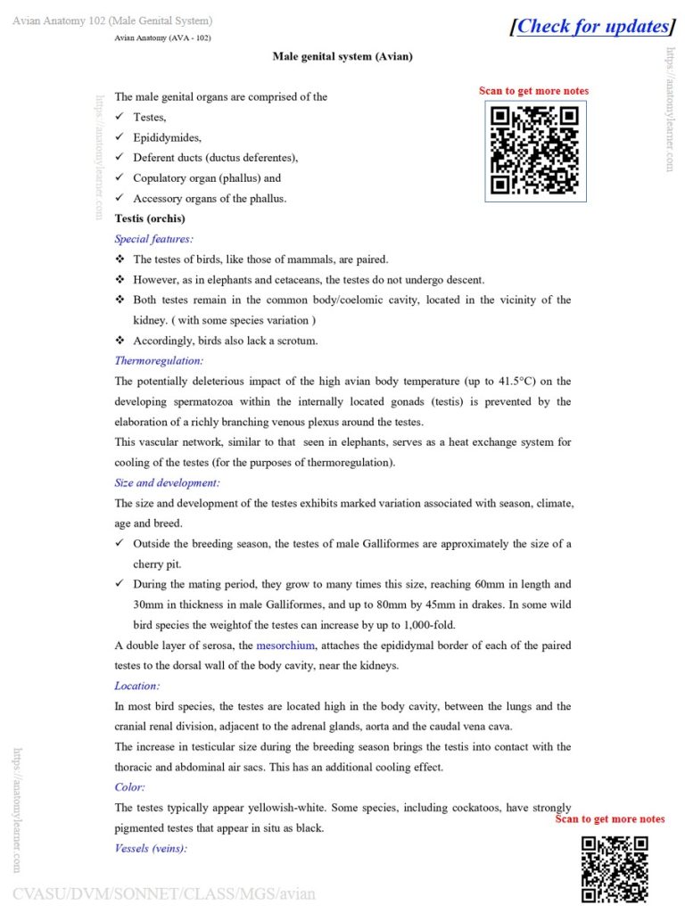 Avian male reproductive system organs diagram and note