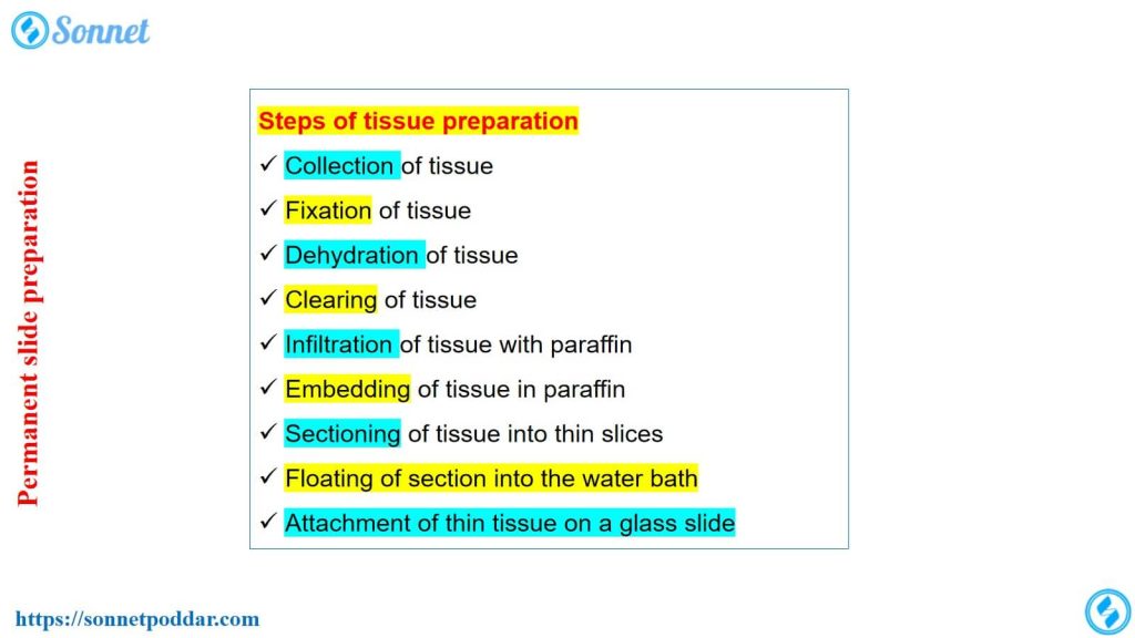 Steps of tissue preparation for a permanent slide